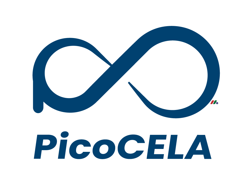 PicoCELA Inc. (PCLA)申请IPO上市募集1000万美元