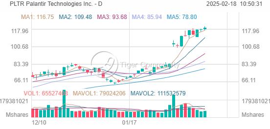 Palantir (PLTR) 股价飙升，分析师目标价难追，卖出虚值看跌期权或成优选策略